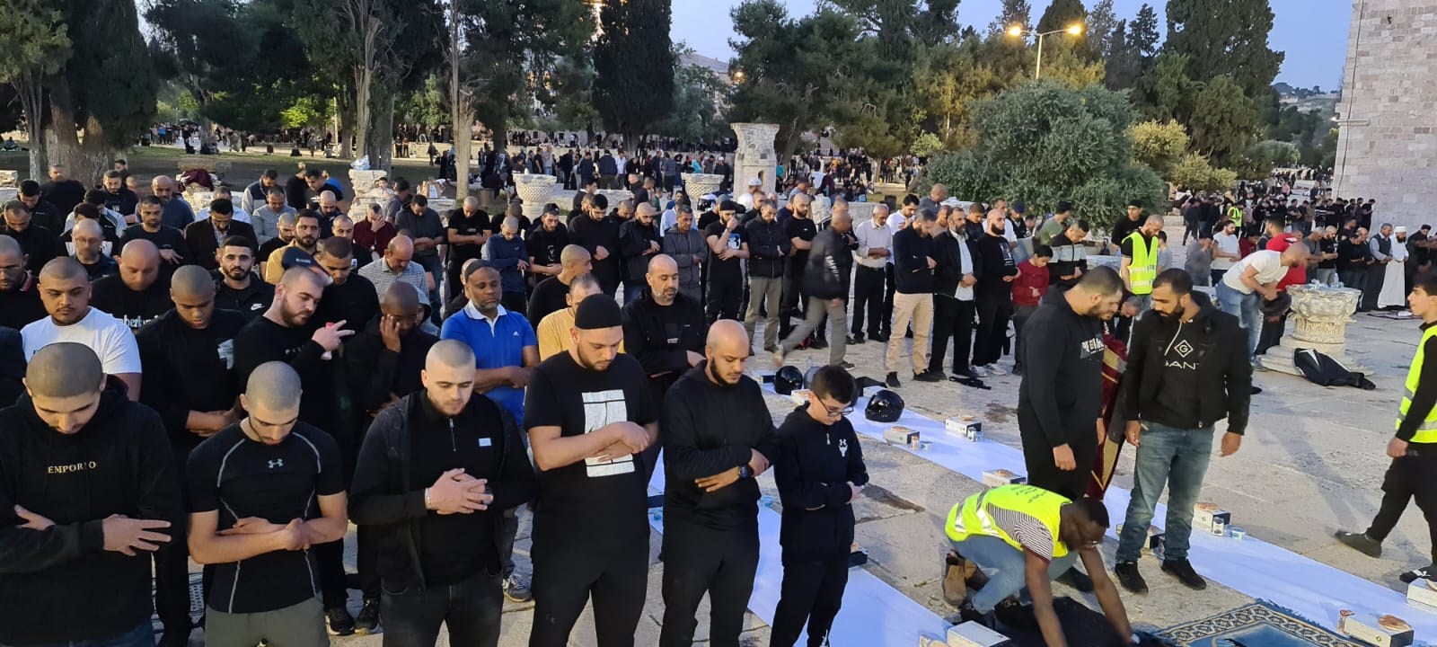 WhatsApp Image 2022-04-27 at 12.37.31 AM (2).jpeg